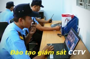 Công ty bảo vệ chuyên nghiệp uy tín