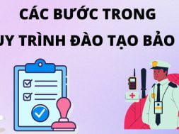 Công ty bảo vệ An Ninh Nhất Security – Các bước trong quy trình đào tạo bảo vệ chuyên nghiệp